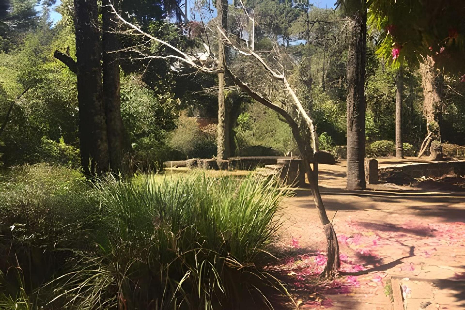 Cabana Suspensa Na Natureza - Regiao Turistica Campos do Jordão Εξωτερικό φωτογραφία